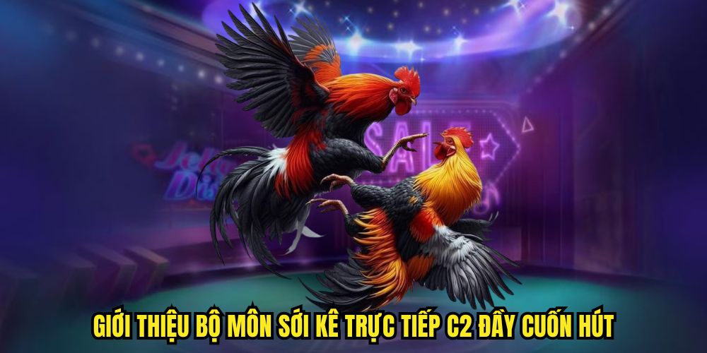 Giới thiệu bộ môn sới kê trực tiếp C2 đầy cuốn hút