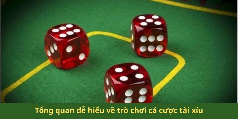 Tổng quan dễ hiểu về trò chơi cá cược tài xỉu